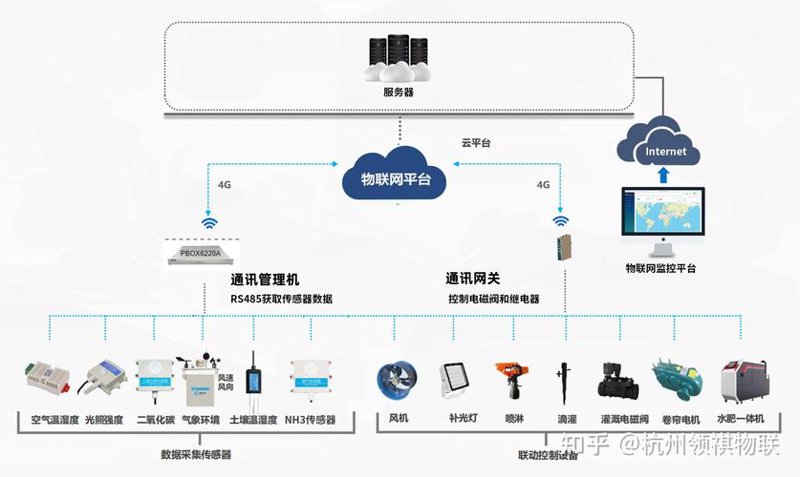 定制化企业系统：您的业务加速器